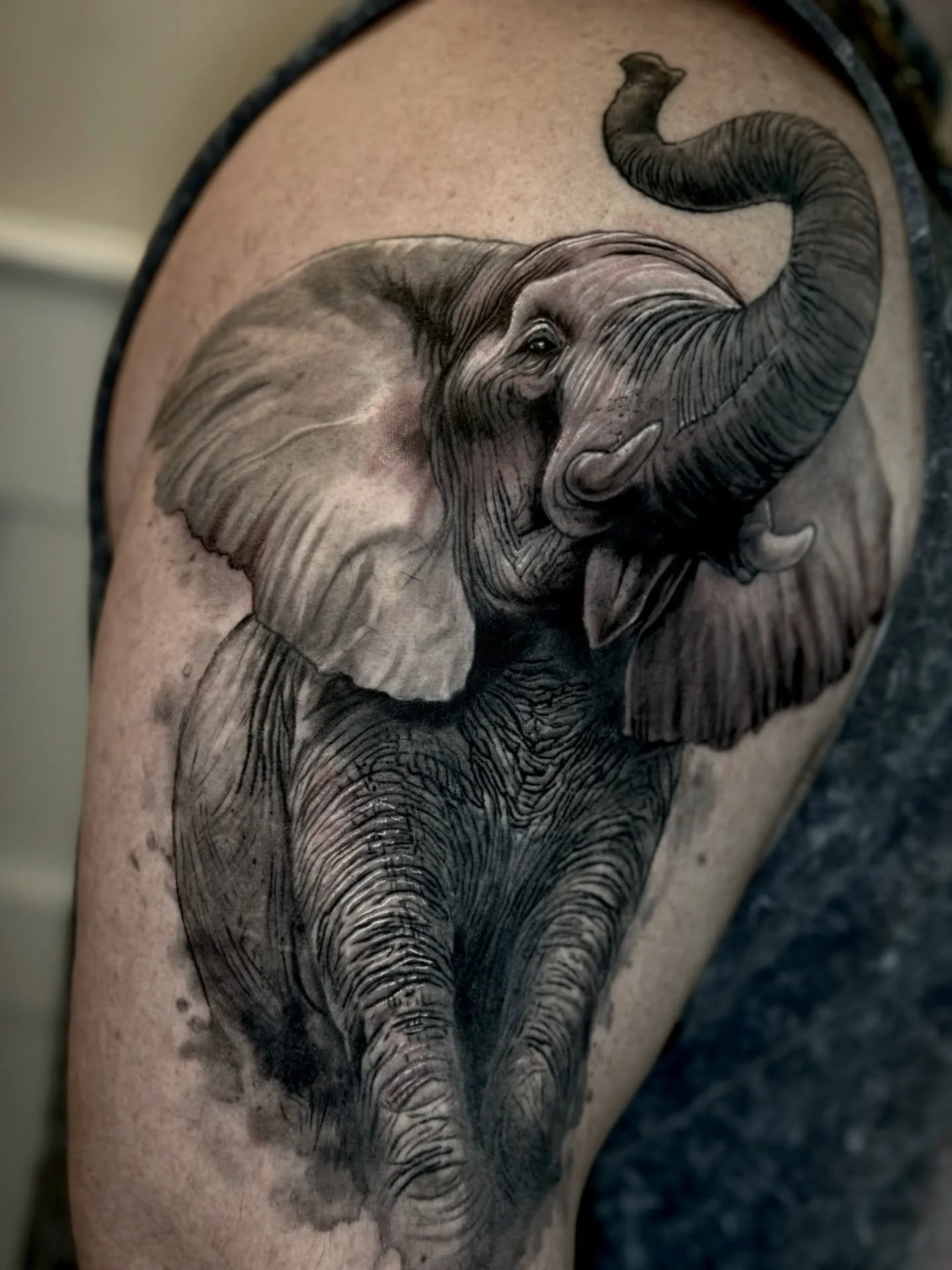 Strength, wisdom, loyalty for Jeff. 
@sacredarttattooct 
#tattoo #tattoos #elephant #cttattoos #cttattooshop