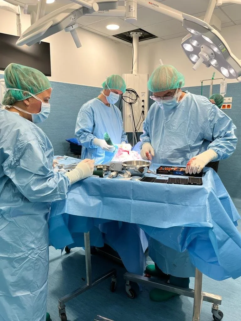 WhatsApp Image 2023-01-17 at 12.34.18.jpeg