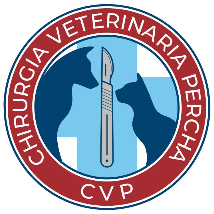 Untitled design-4.png