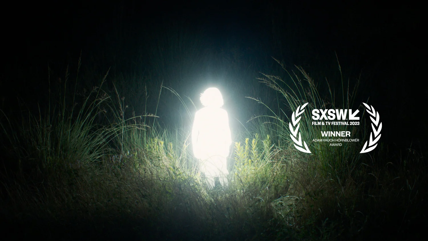 Chronicles Of A Wandering Saint Where To Watch www.chroniclesofawanderingsaint.com