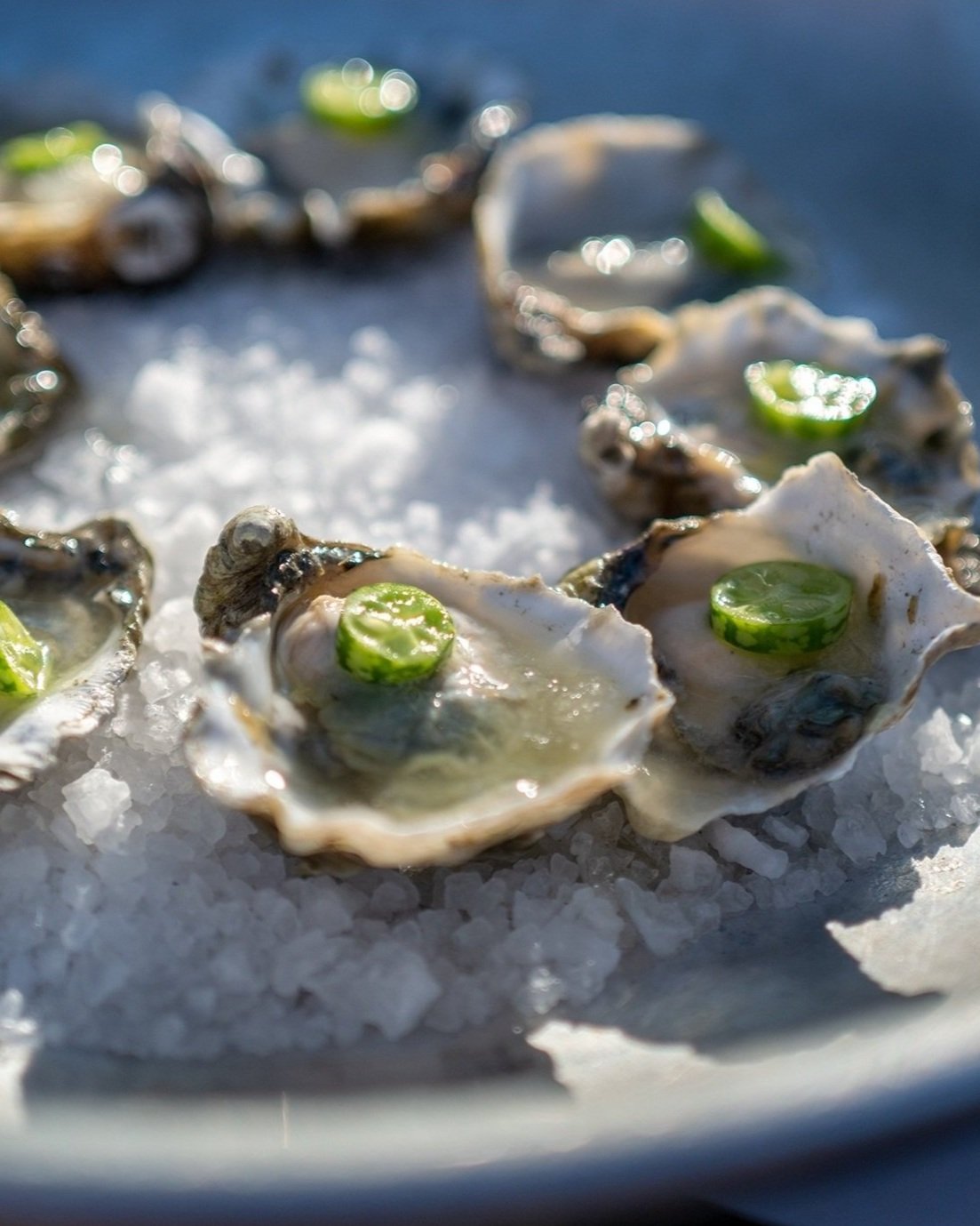 oysters-and-seafood-catering-santa-cruz.jpg