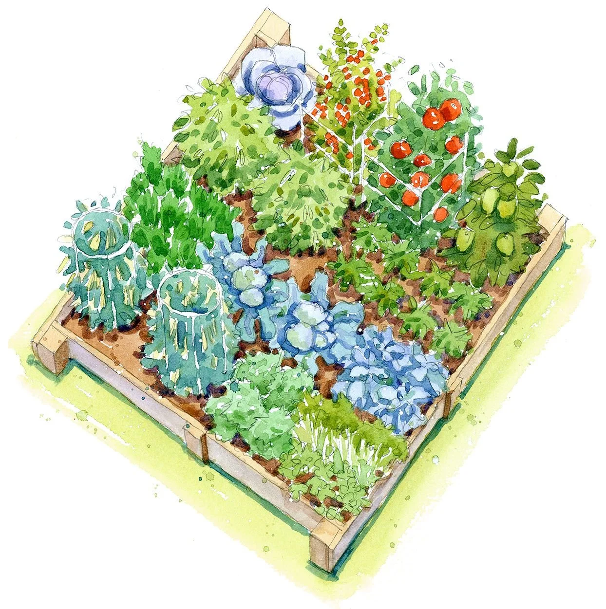 Vegetable Garden Planning - Learning how to plan will give you better yields!