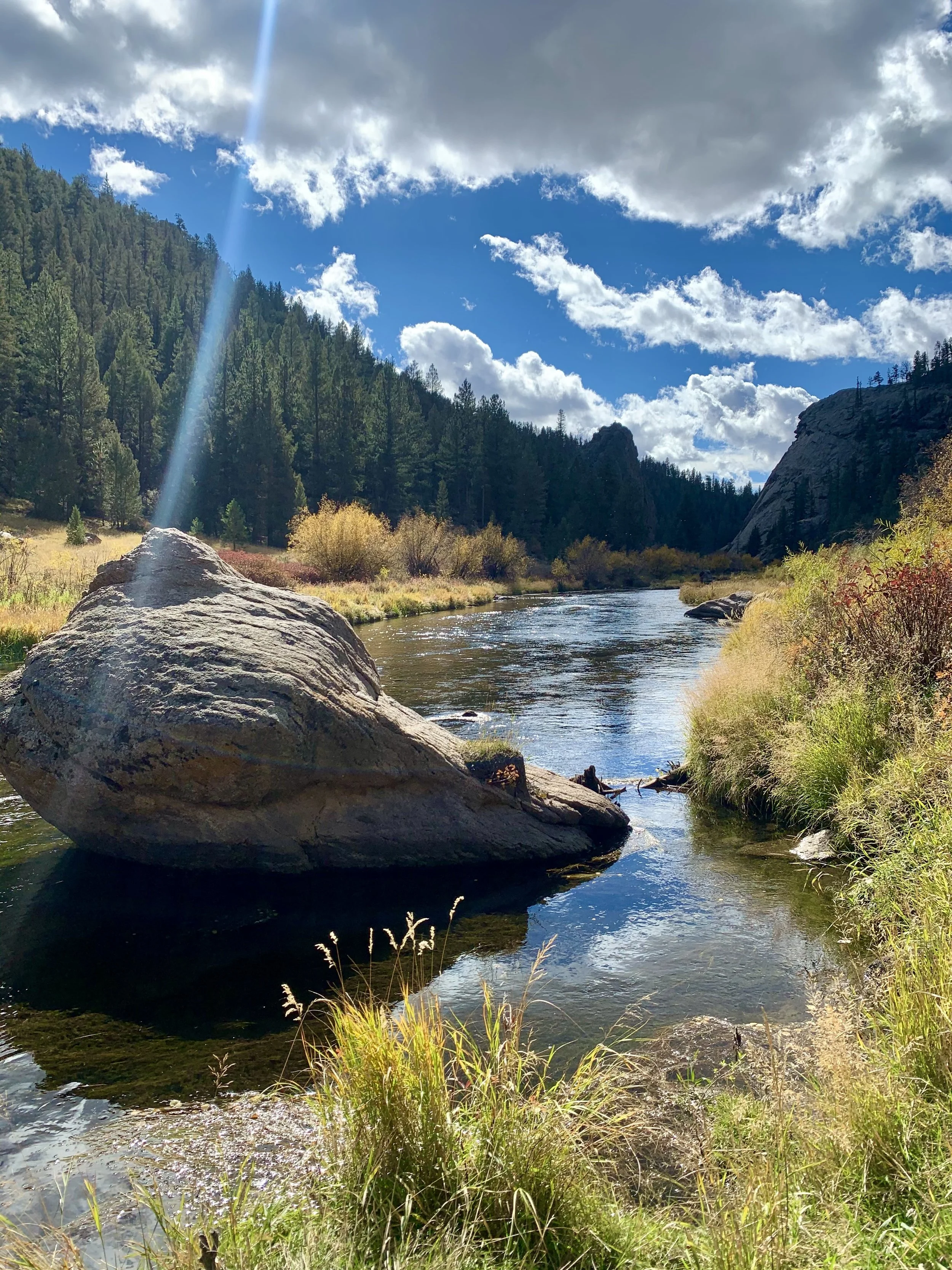 Scenic Colorado river flowing through a green valley with large rocks and partly cloudy sky – symbolizing renewal, flow, and emotional healing through mindfulness, somatic therapy, and counseling in Denver and nearby areas.