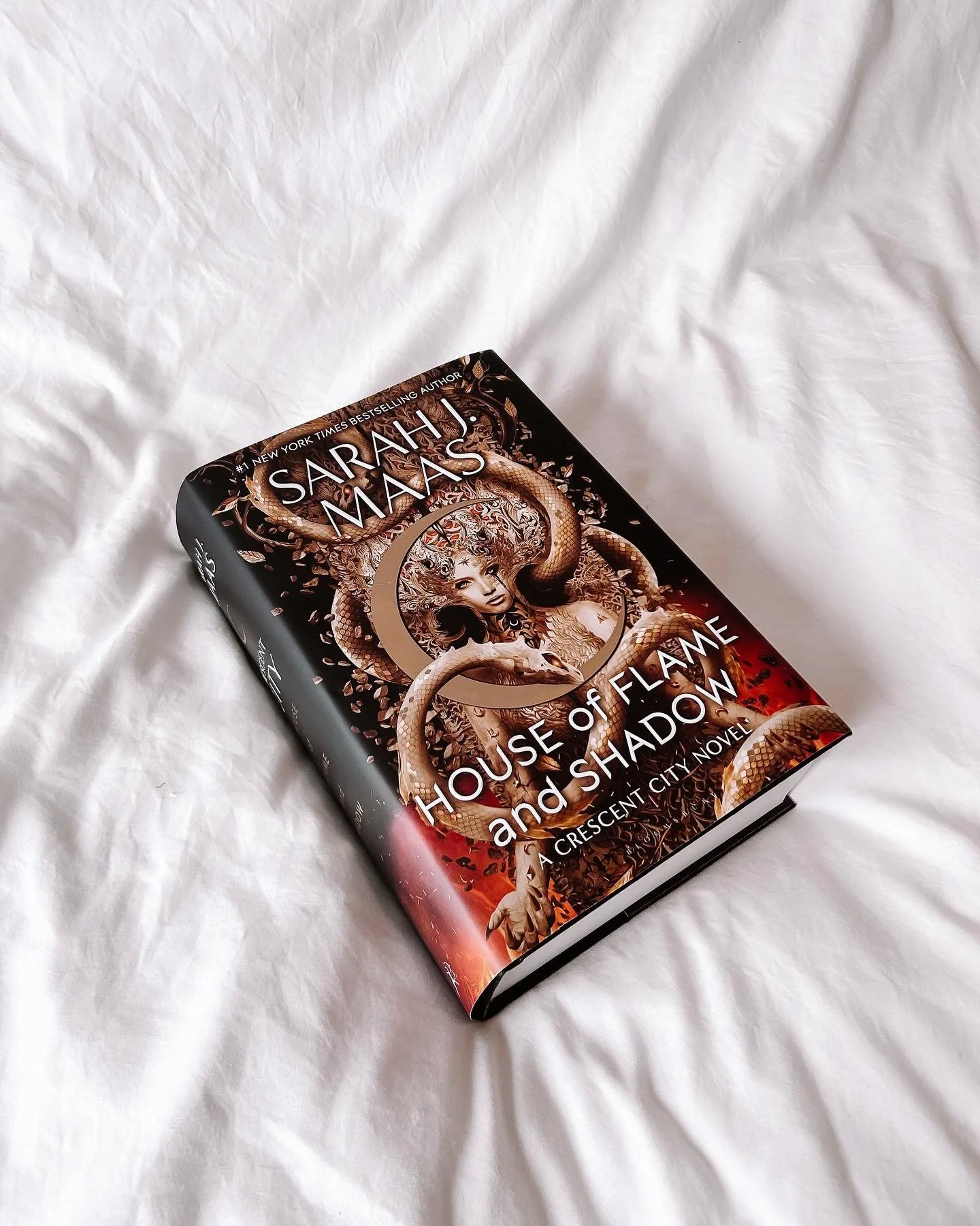 February Wrap Up 🪩🖤✨

Are we five days into March? Yes. 

Did I tell myself that if nothing else, I would document my monthly reads this year? Also yes.

🌙 House of Flame and Shadow 

The first Crescent City book, HOEAB, remains my favourite book.