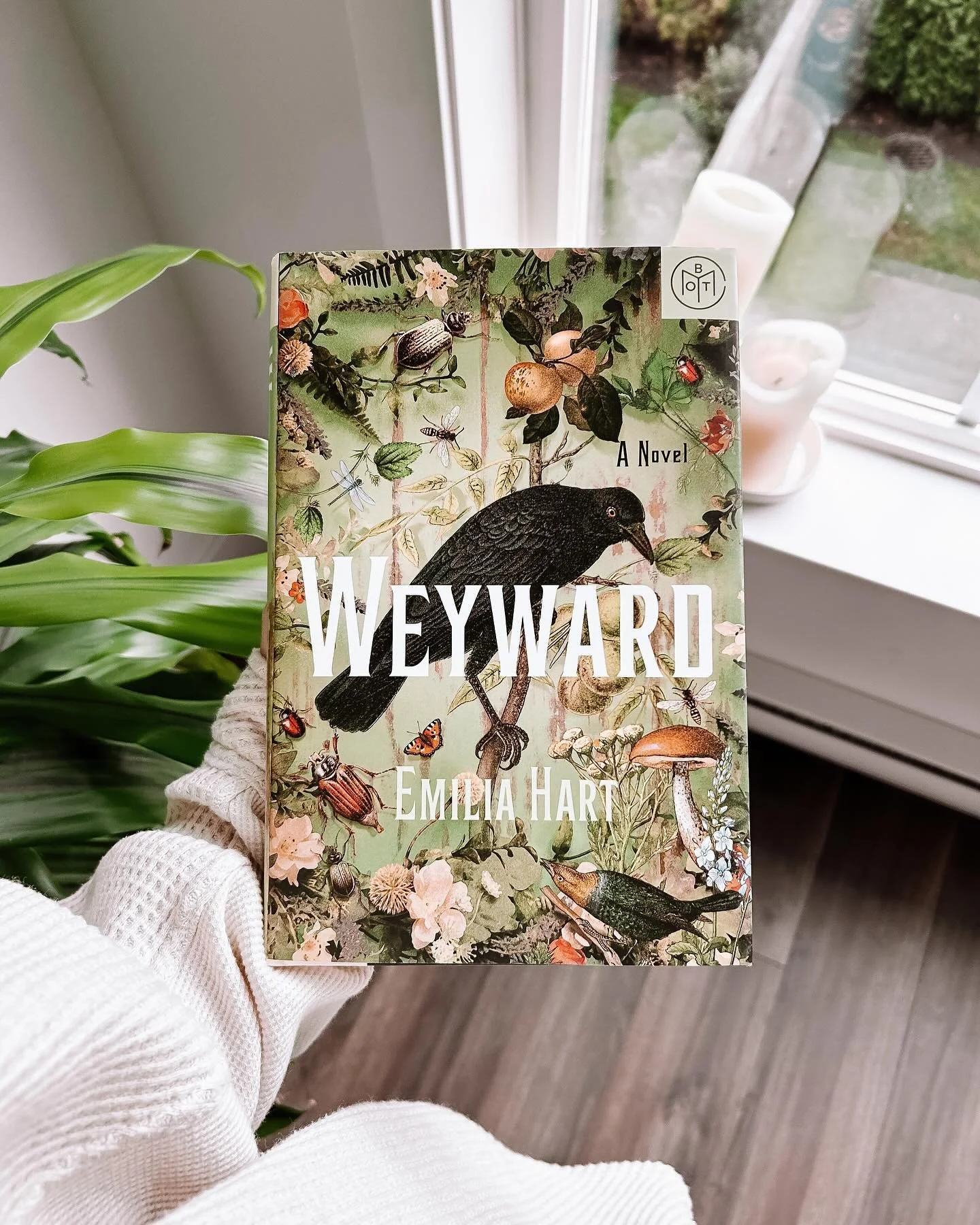 January Wrap Up &darr;

January was a wild month work wise but I did get through some good reads. Here&rsquo;s what I read and what I thought 🖤

🐦&zwj;⬛ Weyward   After sitting on my shelf for months I finally dove into this magical beauty for book
