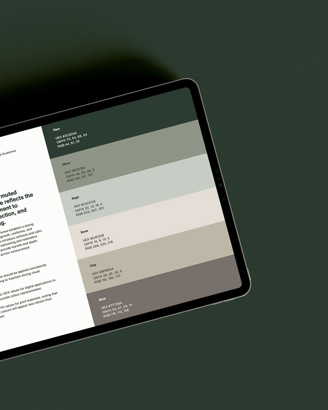 brand-guidelines-inform-wellness.jpg