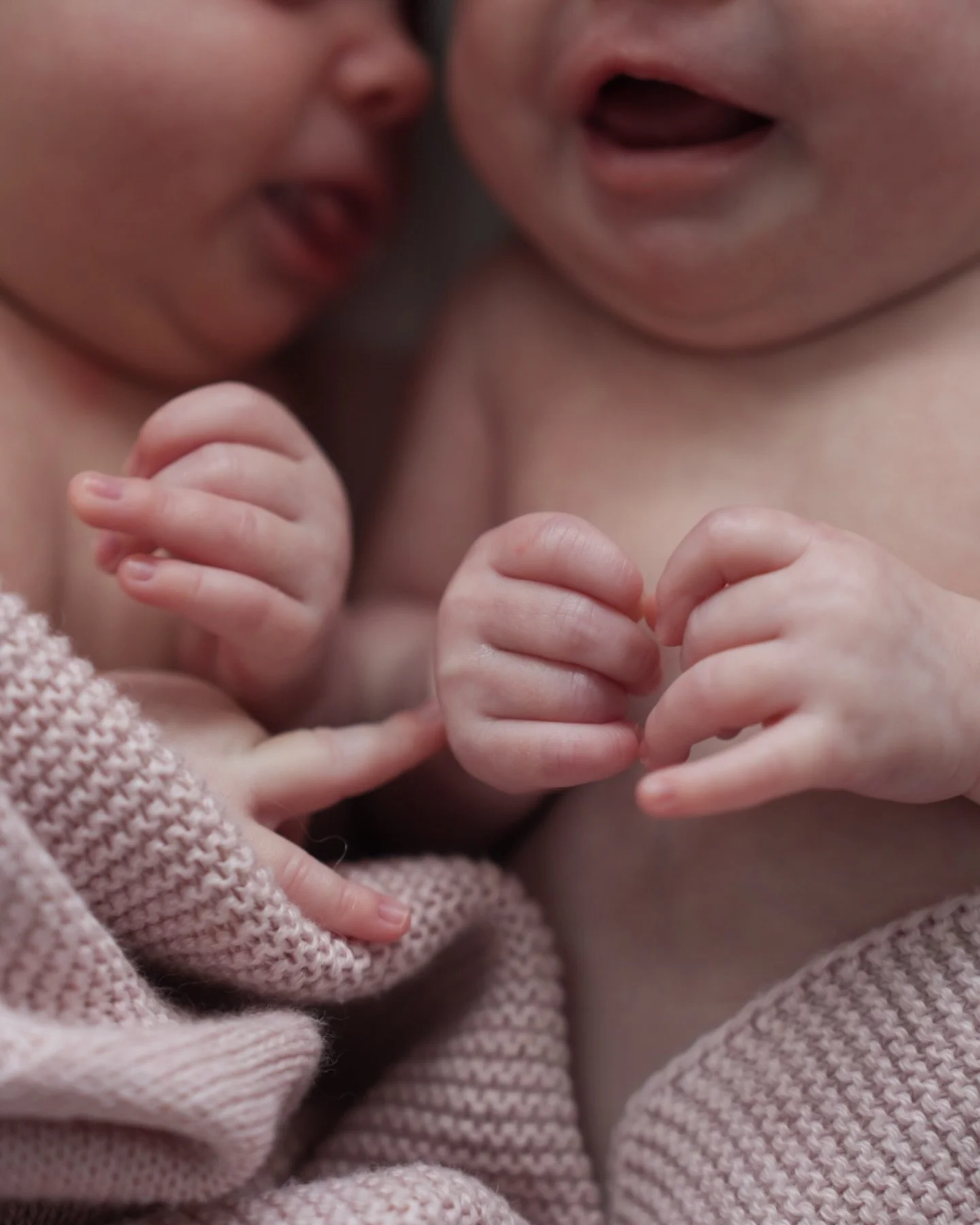 Little hands. Little feet. So much love. 💕

#MiamiPhotographer #SouthFloridaPhotographer #Photographer #FamilyPhotographer #MiamiFamilyPhotographer