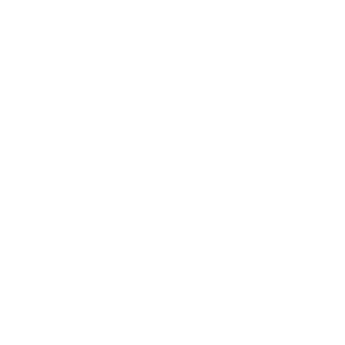 The Indigenous Healing Collective