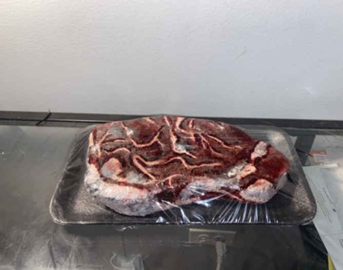 Screenshot 2023-06-14 at 7.04.11 PM.png