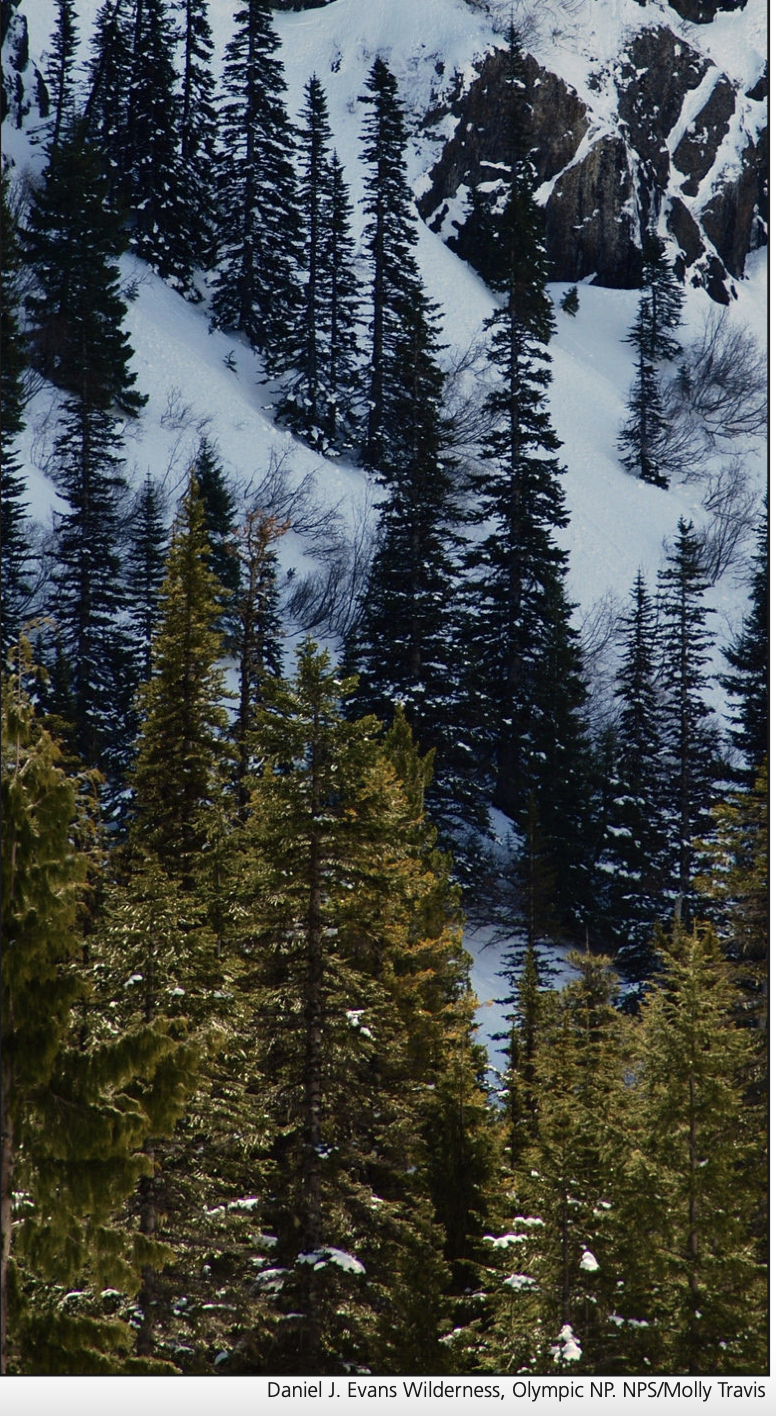 Wilderness Stewardship Planning Resource Brief University of Montana Molly Travis