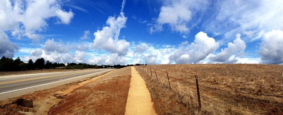 Hagar Drive UC Santa Cruz Campus California Gaia Magazine Spring 2013 Issue 5 Molly Travis Getty iStock Images