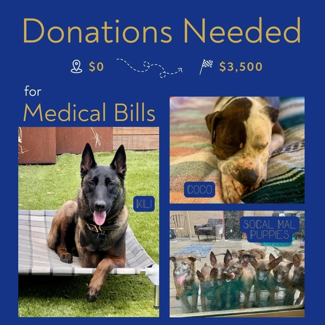 𝗪𝗲 𝗡𝗲𝗲𝗱 𝗬𝗼𝘂𝗿 𝗛𝗲𝗹𝗽: July + August have been especially ruff on us with expenses&hellip; Our medical bills these past few months have been quite significant. We have well 𝗼𝘃𝗲𝗿 $𝟯,𝟱𝟬𝟬 𝗶𝗻 𝗺𝗲𝗱𝗶𝗰𝗮𝗹 𝗯𝗶𝗹𝗹𝘀 plus the ongoing