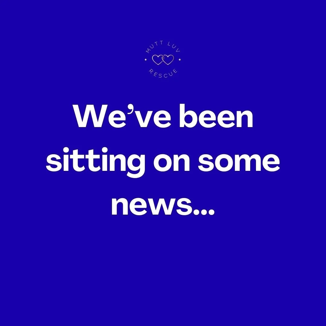 Hey furiends, you may have noticed we&rsquo;ve been silent on here lately&hellip; Well, we&rsquo;ve been sitting on some news. Trying to decide how to share it with you all. 

There&rsquo;s been a lot going on behind the scenes. And, we figured it wa