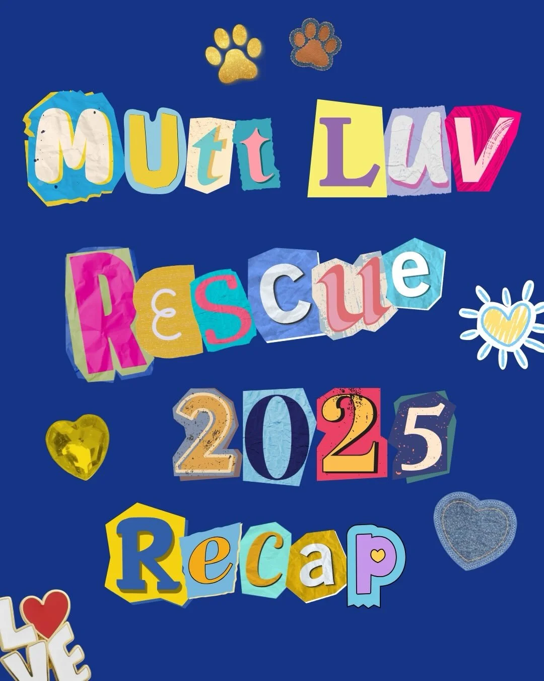 Happy New Year, furiends ✨💙✨ As we gear up for an even bigger and better year, it&rsquo;s hard to not reflect back on 2025. And, what a year it was! 

Thanks to this amazing community and our incredible team (tagged), WE SAVED 20+ MORE LUVs than 202