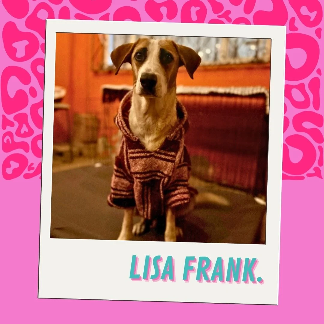 🌈⚡️ FOSTERS NEEDED ⚡️🌈 Introducing Lisa Frank and her 11 little LUVS! Yes, you read that correctly, 11 puppies 😳

Lisa Frank and her little LUVs are arriving this weekend if we can find fosters for them! They&rsquo;re currently living outside of a