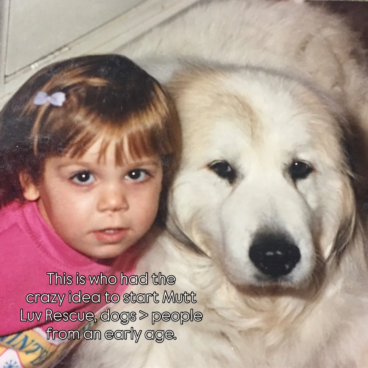 Happy International Women&rsquo;s Day from the incredible women behind Mutt Luv Rescue. Our small but mighty family is made up of 4 smart, LUVing, hardworking women. Whether we share our time with our paying jobs (we&rsquo;re 💯 volunteer run), partn