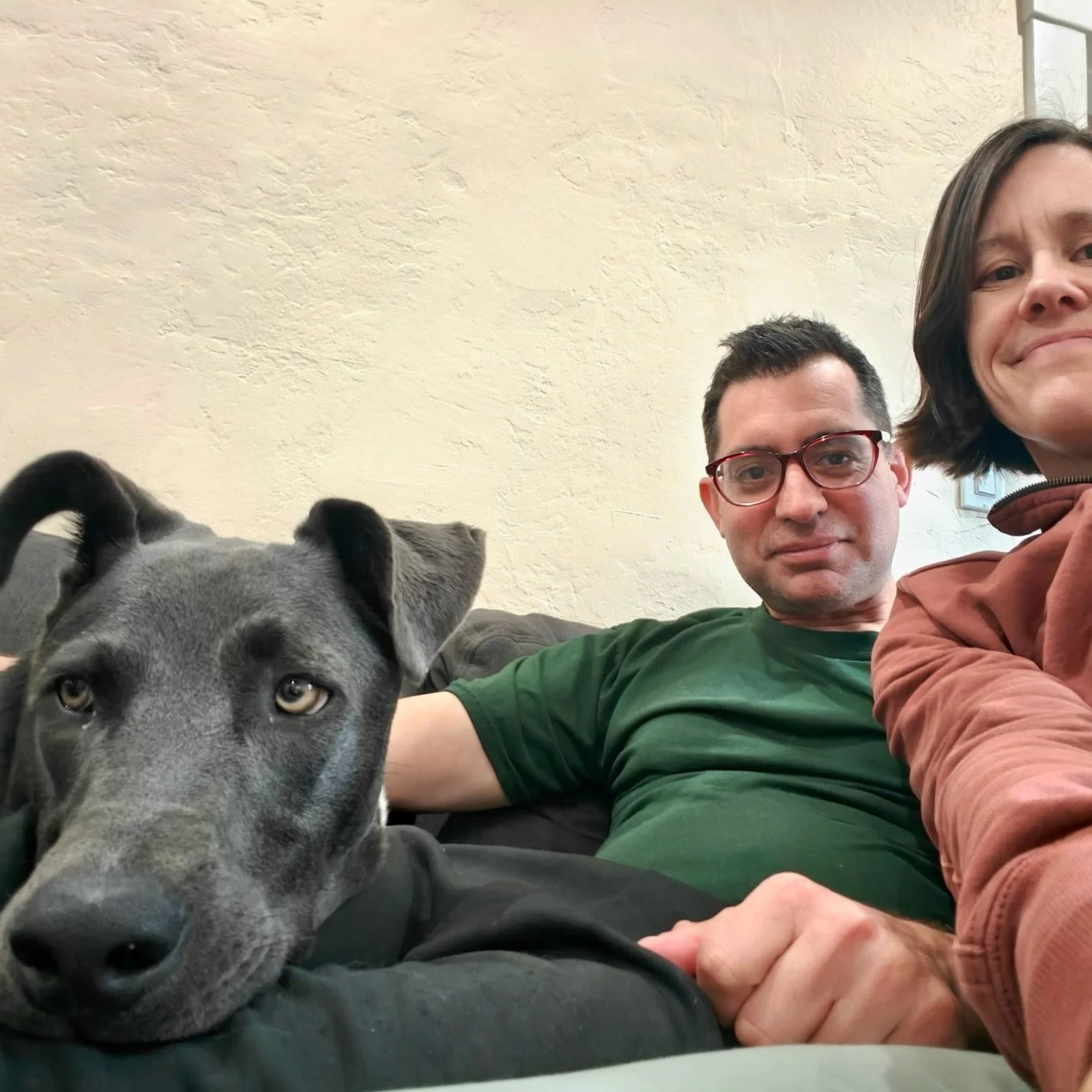 Smokey is officially home 🎉 

We are over the moon to share that our sweet, handsome LUV has found his furever family 🩶 From the shelter to 2 pawrents and a home all his own. This is the power of fostering and LUV. 

Thank you to @laurabaybunni for