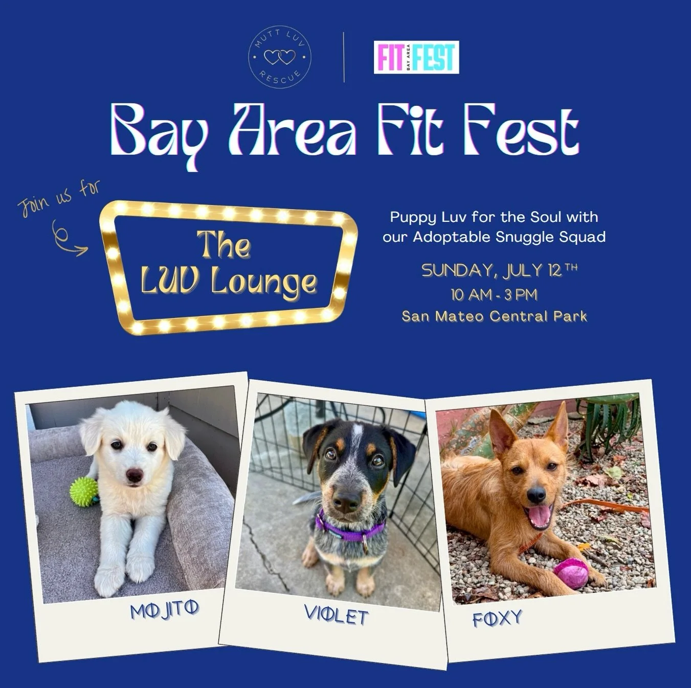 We&rsquo;re so excited to be joining @thefitfestco this Sunday, July 12th, from 10 am - 3 pm at San Mateo Central Park! ⁣
⁣
Bay Area furiends, join us in the LUV Lounge for some Puppy Luv for the Soul with our Adoptable Snuggle Squad and meet your ne