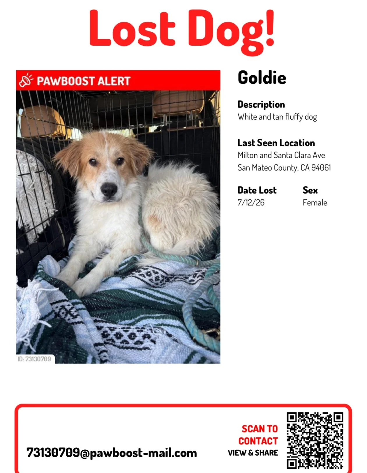 🚨 URGENT 🚨 GOLDIE BROKE OUT OF HER FOSTERS HOME - SHE BROKE OUT OF HER TRIPLE LOCKED CRATE, CHEWED THROUGH HER FOSTERS WINDOW, &amp; ESCAPED OUT THE FRONT WINDOW.

We don&rsquo;t know how long she&rsquo;s been gone. 📍 last seen on Milton and Santa