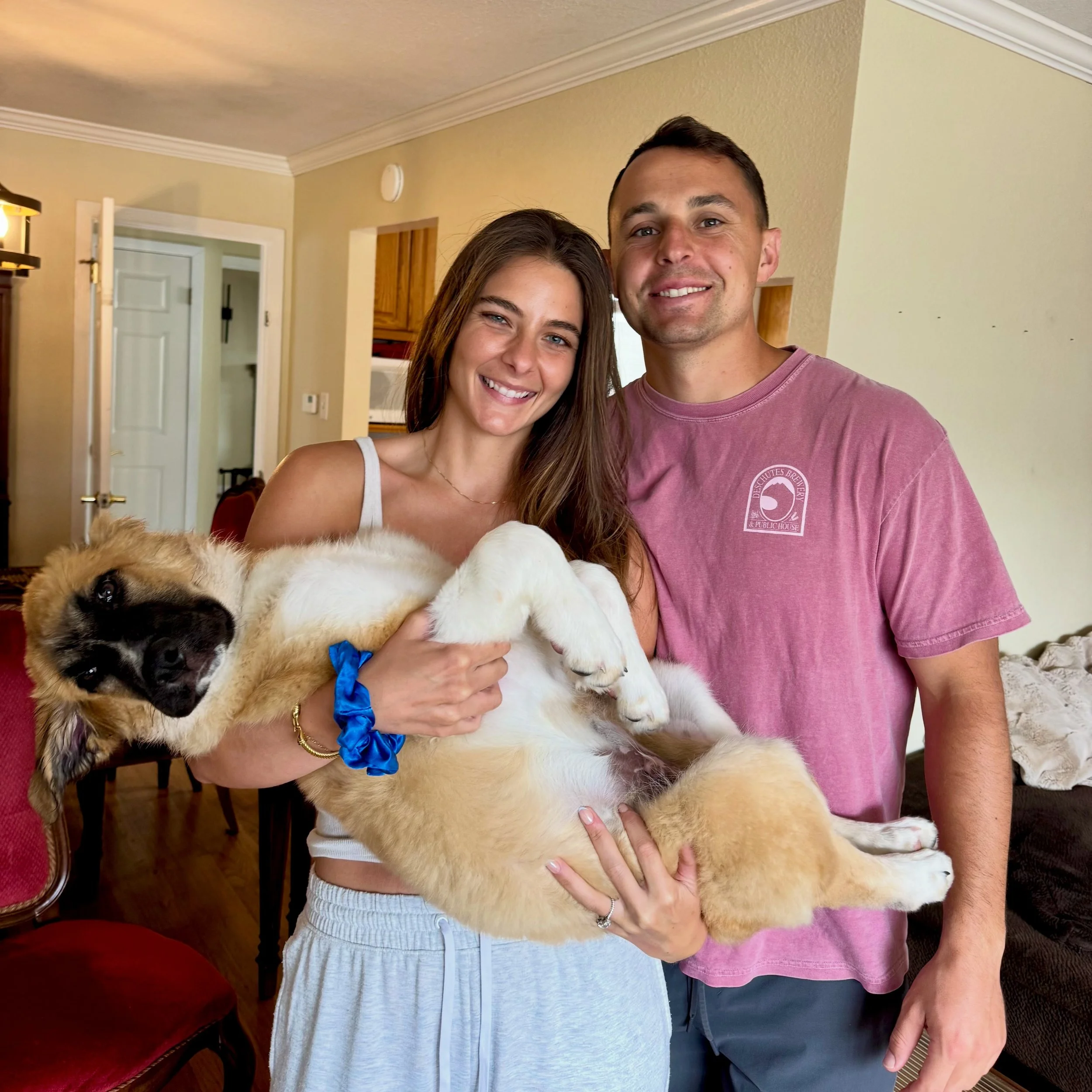 The Lion King litter have all found their furever homes!! 🦁 ☀️ These 3 m/o, 30+ lb Anatolian Shepherd x Great Pyrenees LUVs are some incredibly special pups who have found truly incredible families to grow into the majestic dogs we know their destin