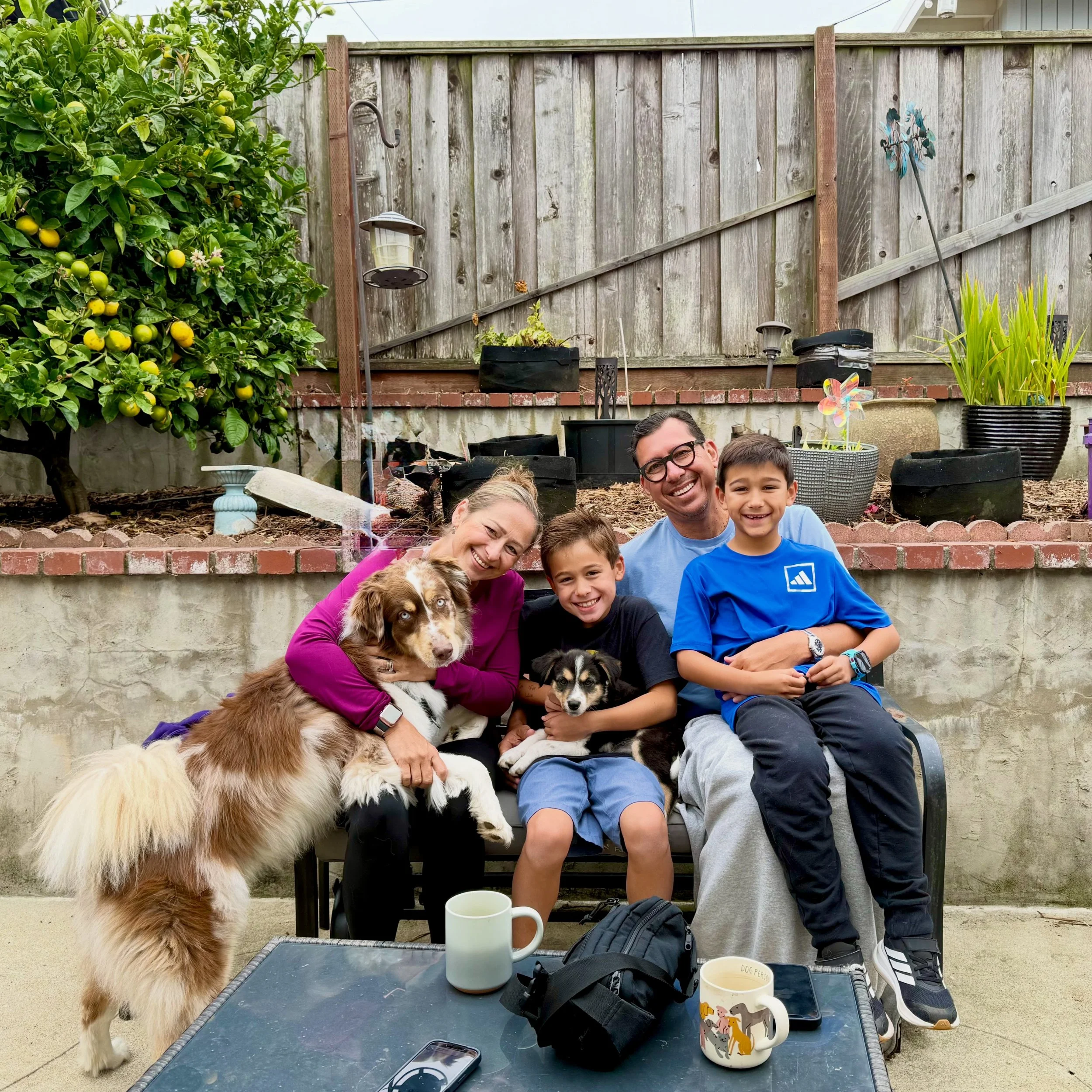 Happy Gotcha Day to our Summer Drinks Rez LUVs (in order 👉🏼) - Martini, Mojito, Cola &amp; Squirt, and Paloma who was actually a foster fail but joined his sisters adoption picture this morning! 

Martini has a new Aussie x Husky big brother, 2 hum