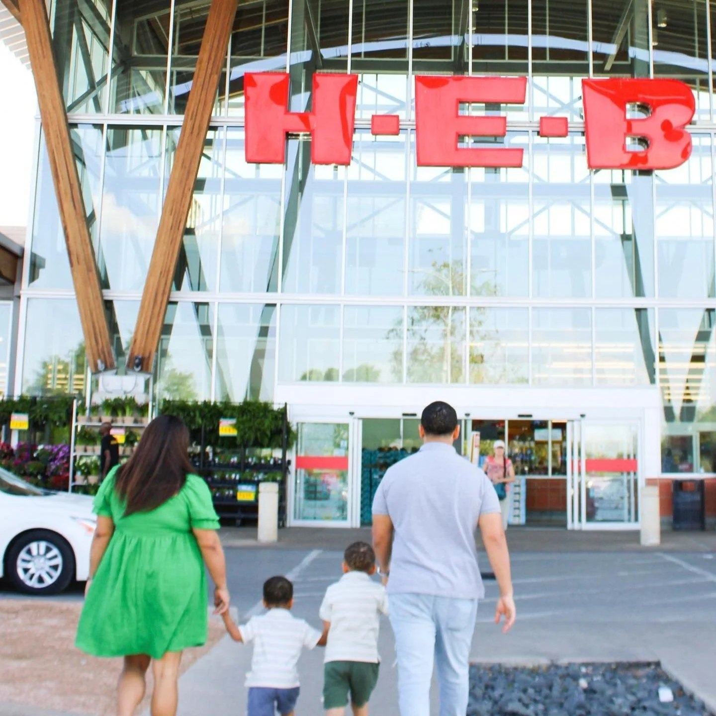 [image] - 7966695.jpg