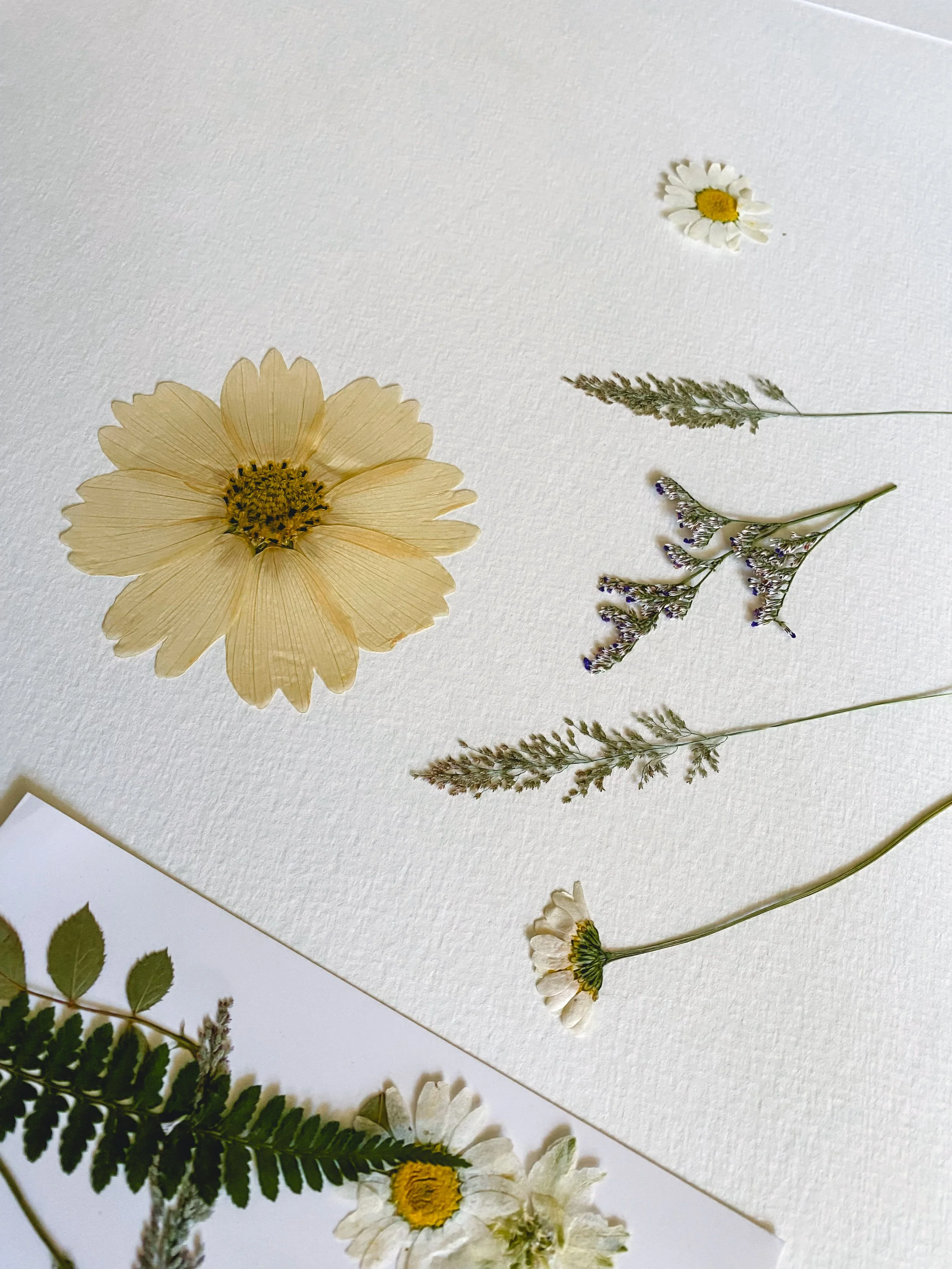 the paper song - special gift - special gift for a special ocassion 1.JPG