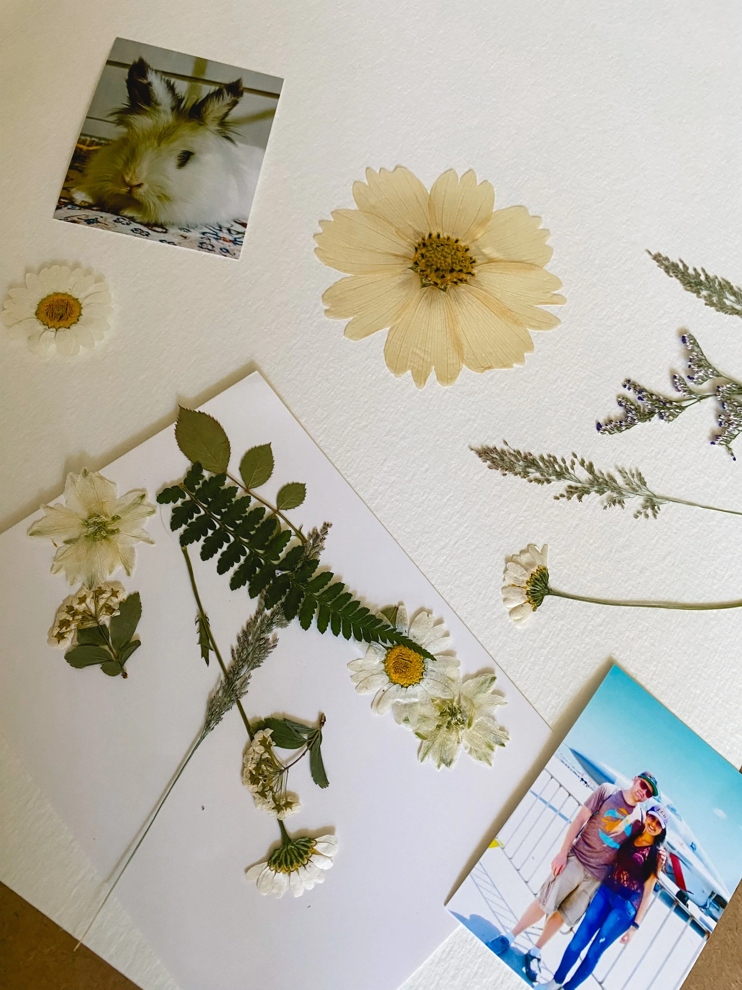 the paper song - special gift - special gift for a special ocassion 4.JPG