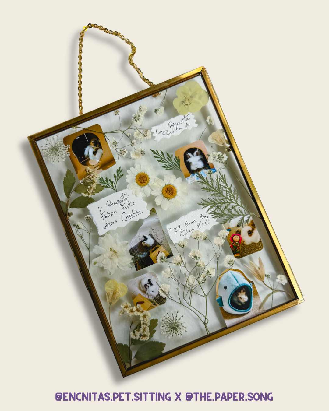 Celebrating Pet Mother's Day: A Custom Botanical Pet Portrait Frame