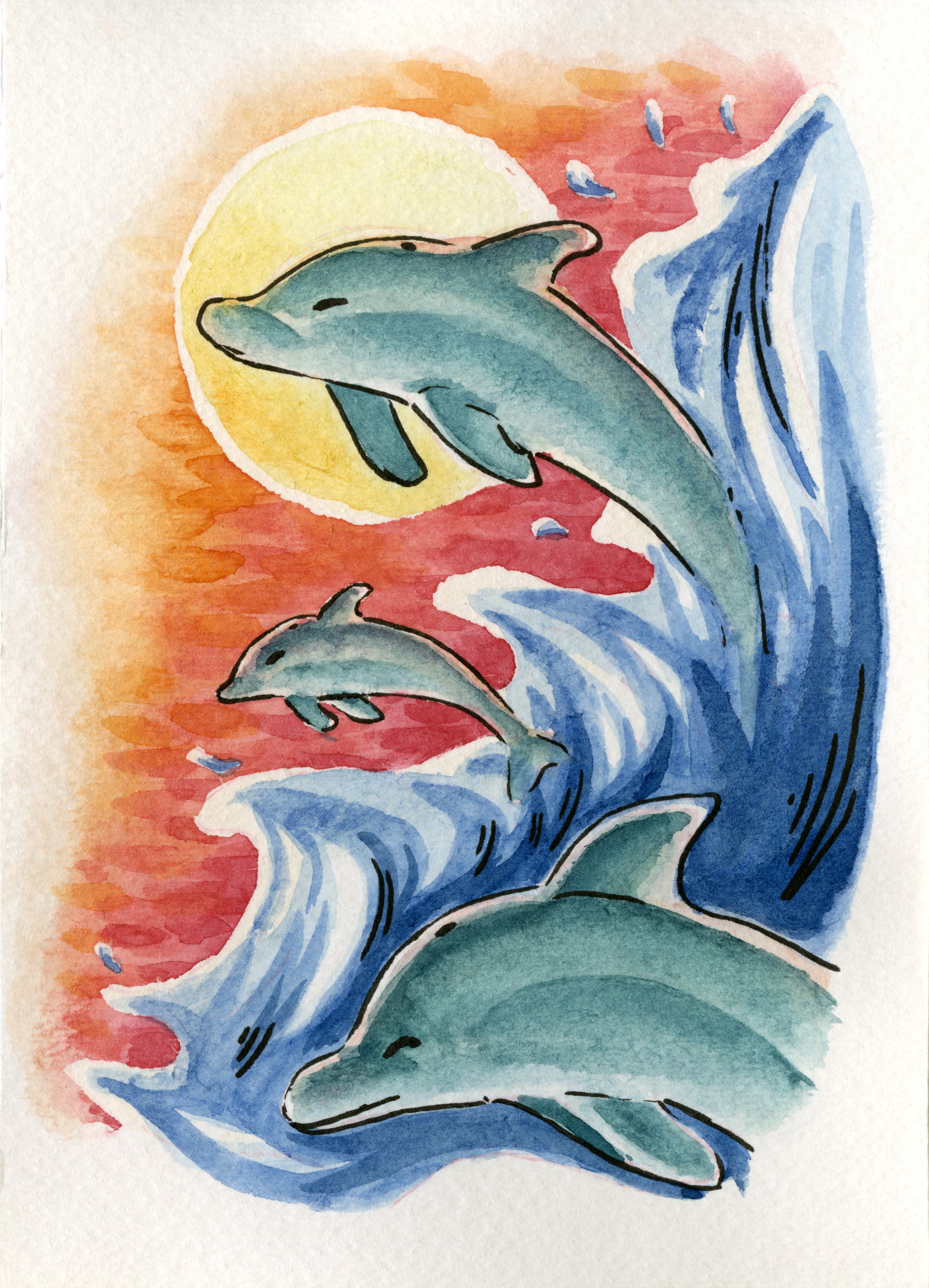 dolphins.jpg