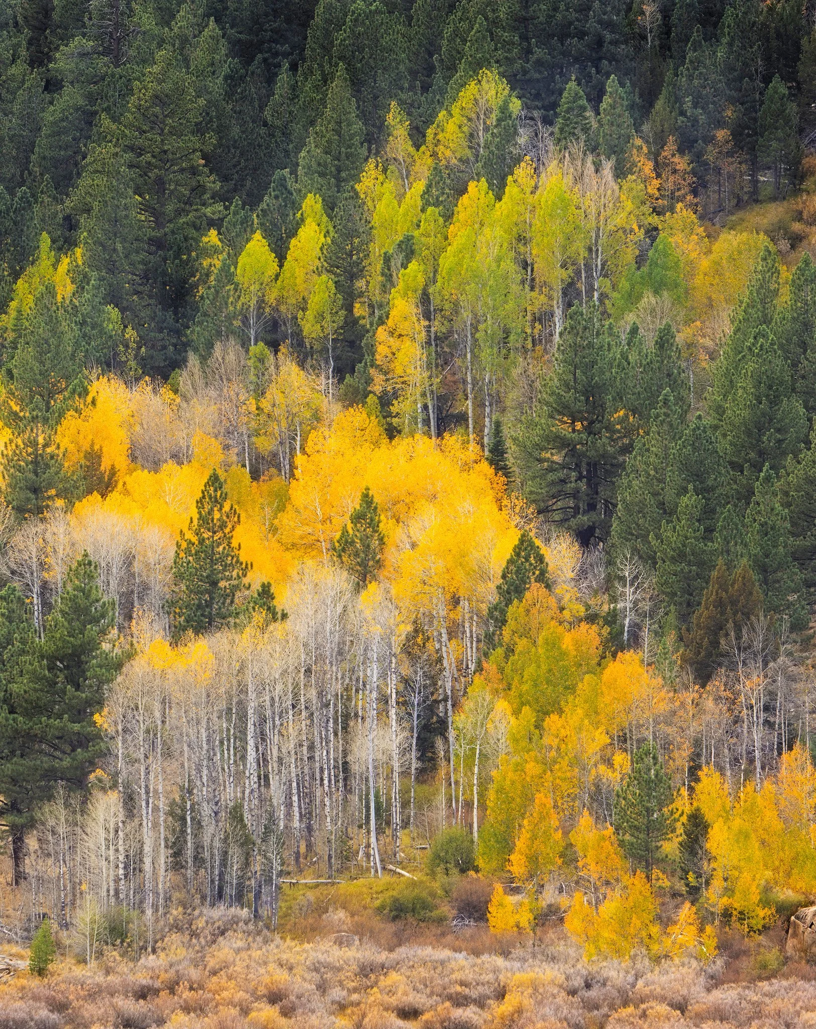 Hope Valley Fall