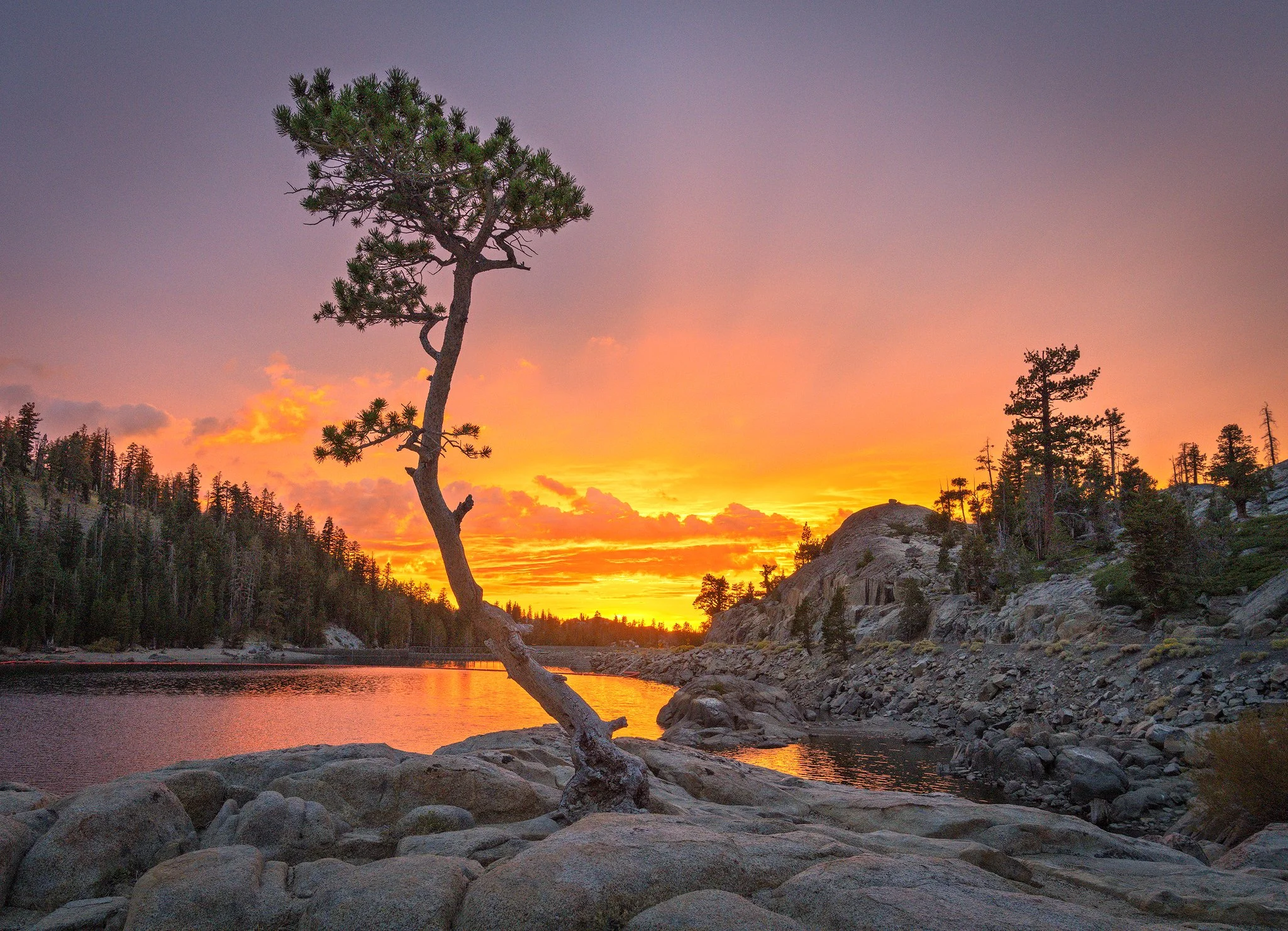 Bonsai Sunset - Caples Lake