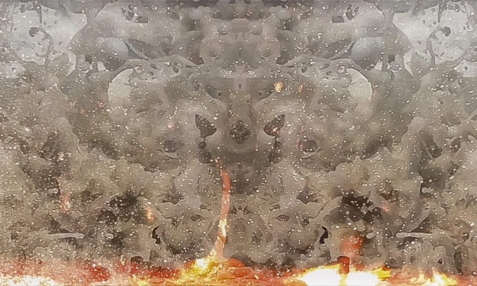 FireIslandII_05_IMG_4431 detail.jpg