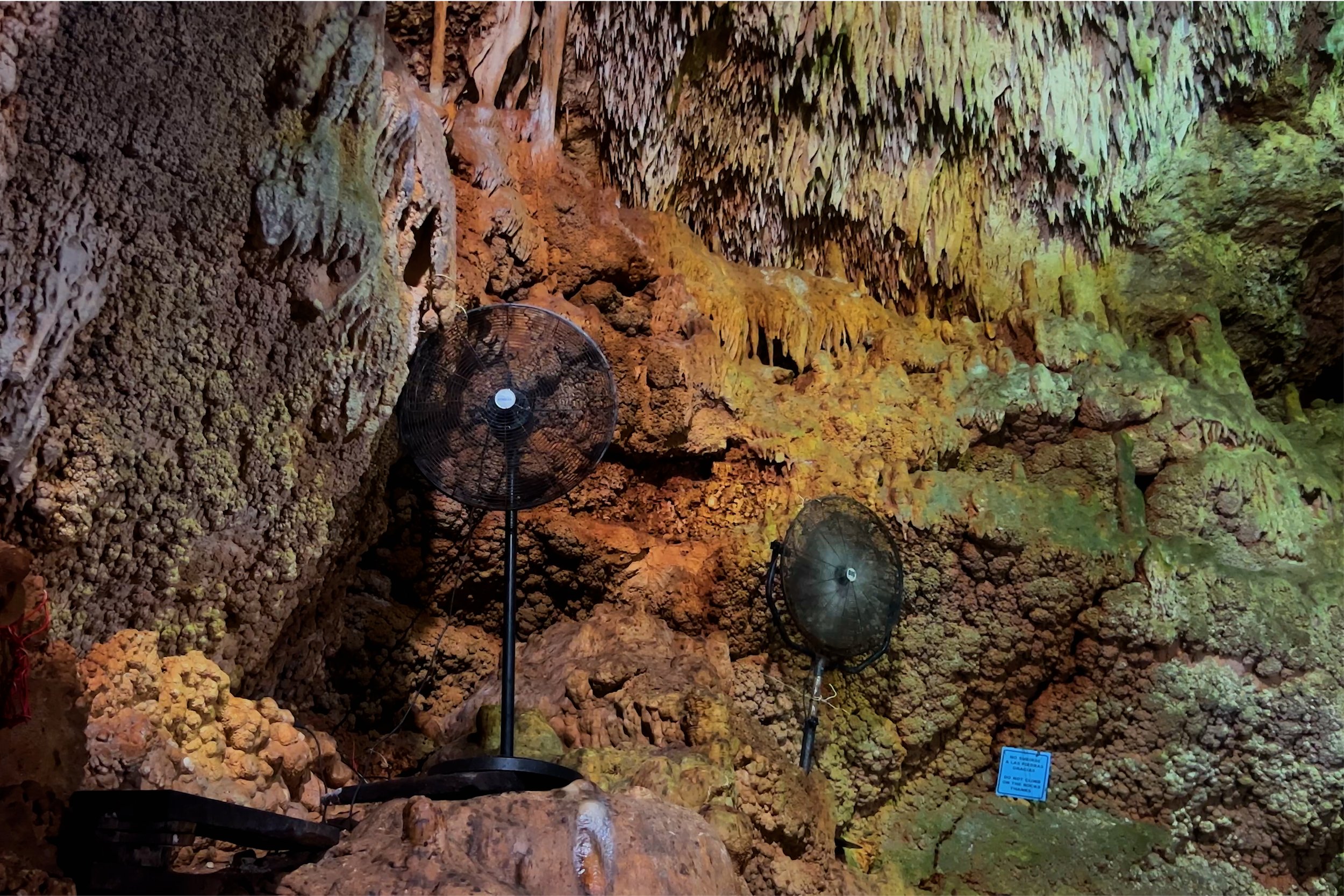 Limited Edition Print by Phoebus Osborne