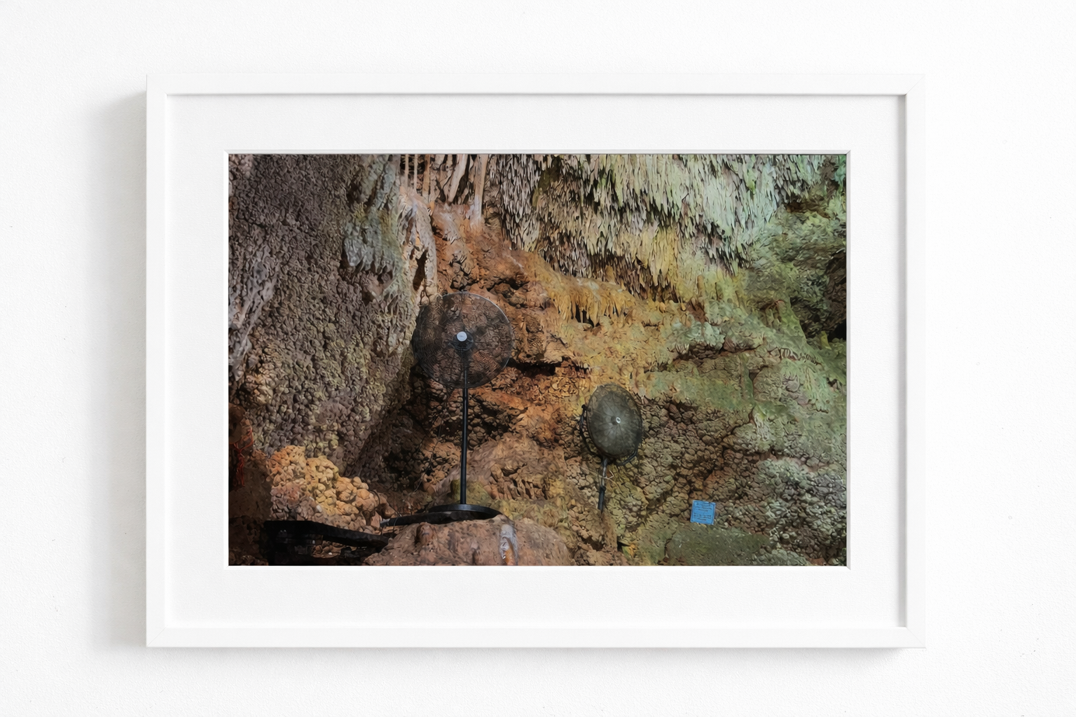 ChatGPT Image Jan 9, 2026, 02_25_02 PM.png