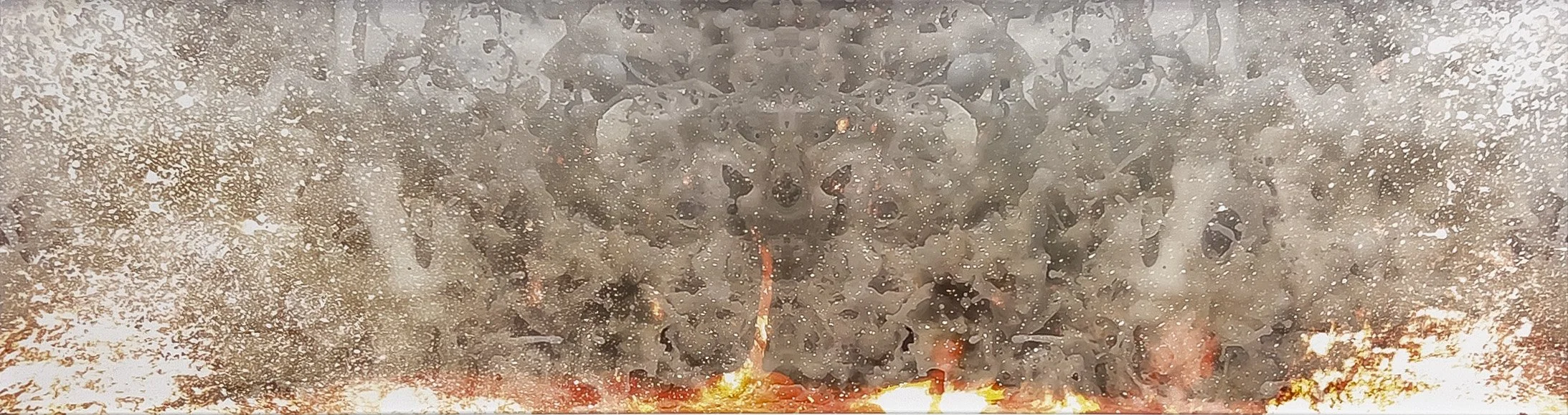 FireIslandII_05_IMG_4431 crop.jpg