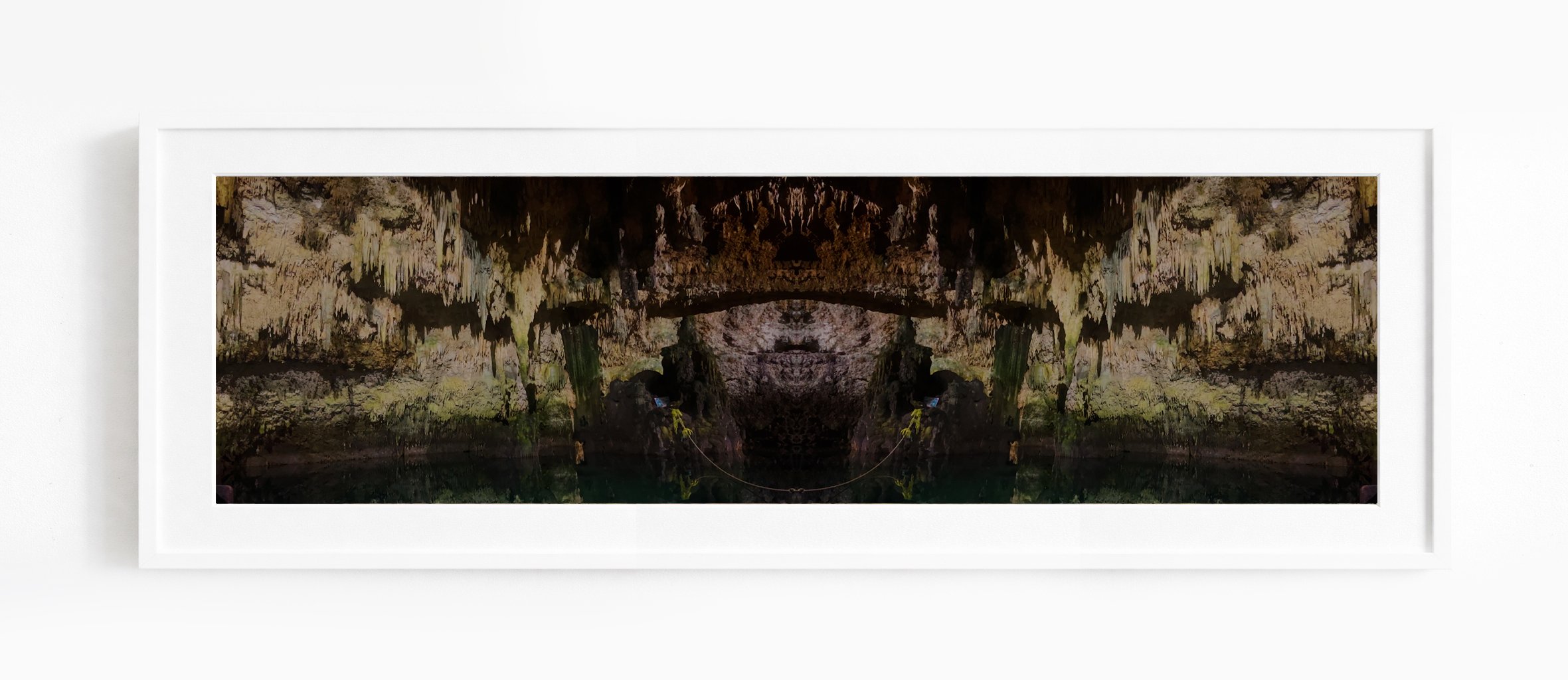 Phoebus Osborne Prints - Ascalapha odorata II.jpg