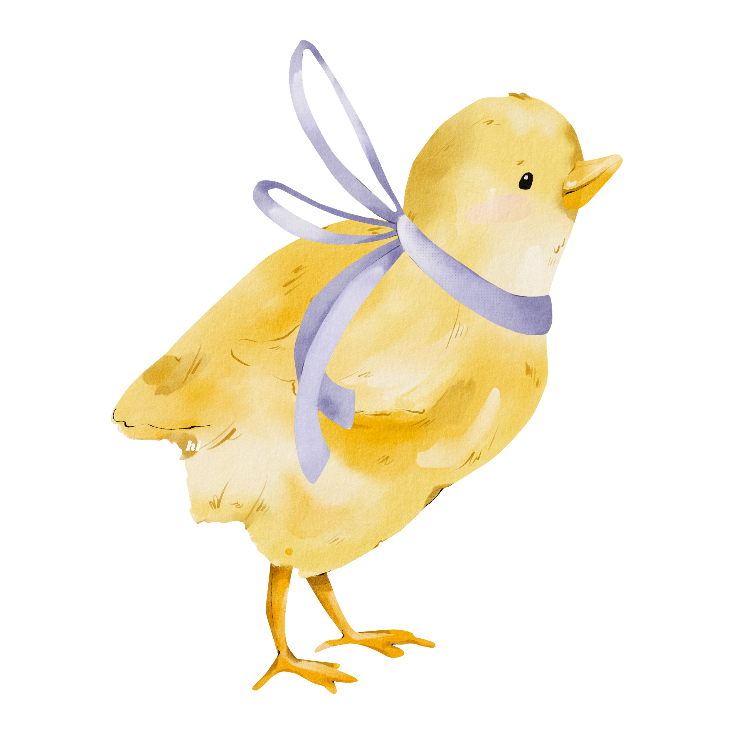Country Critters Farm