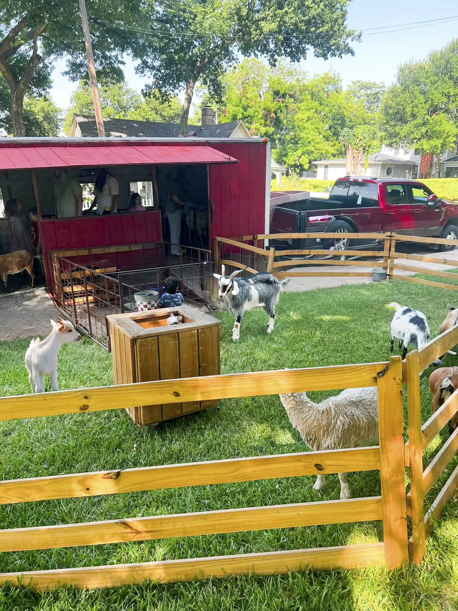 A red barn with a small animal pen containing goats and a pig, with ramp access and hay bales on the sides.