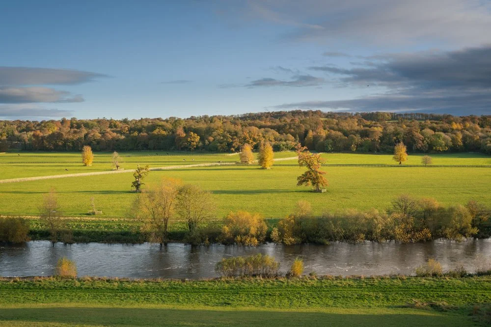 Mount-Juliet-Estate-photography-Ireland-011.JPG