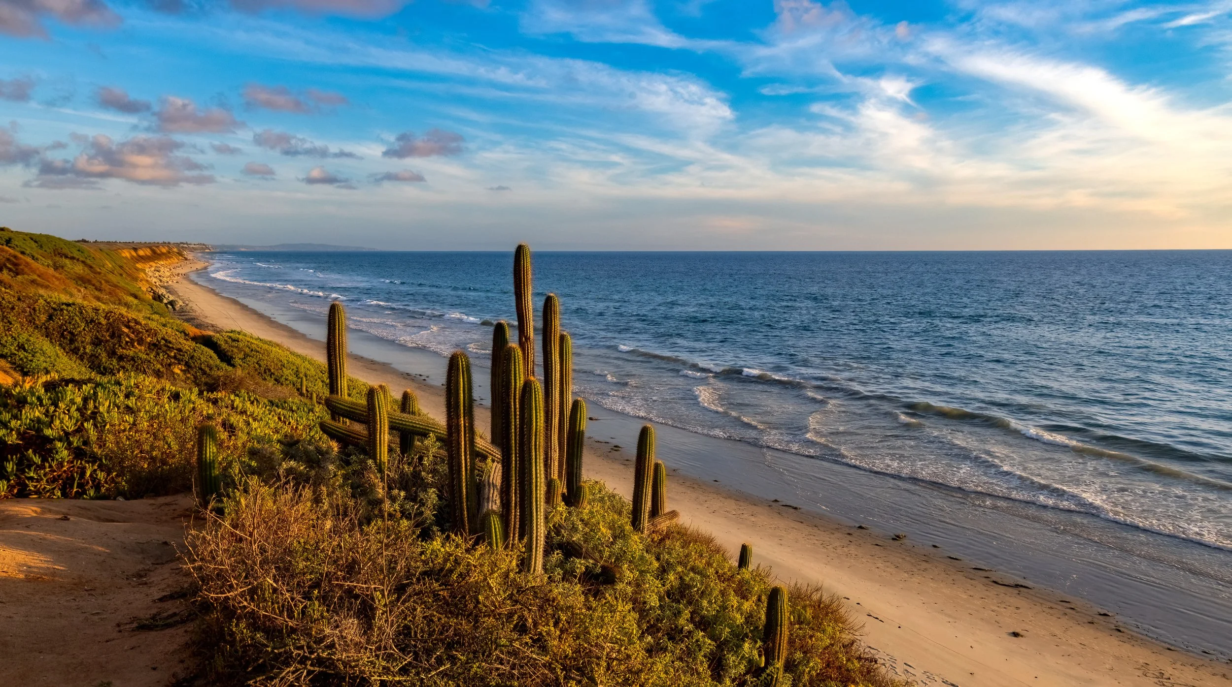carlsbad coast 7.jpg