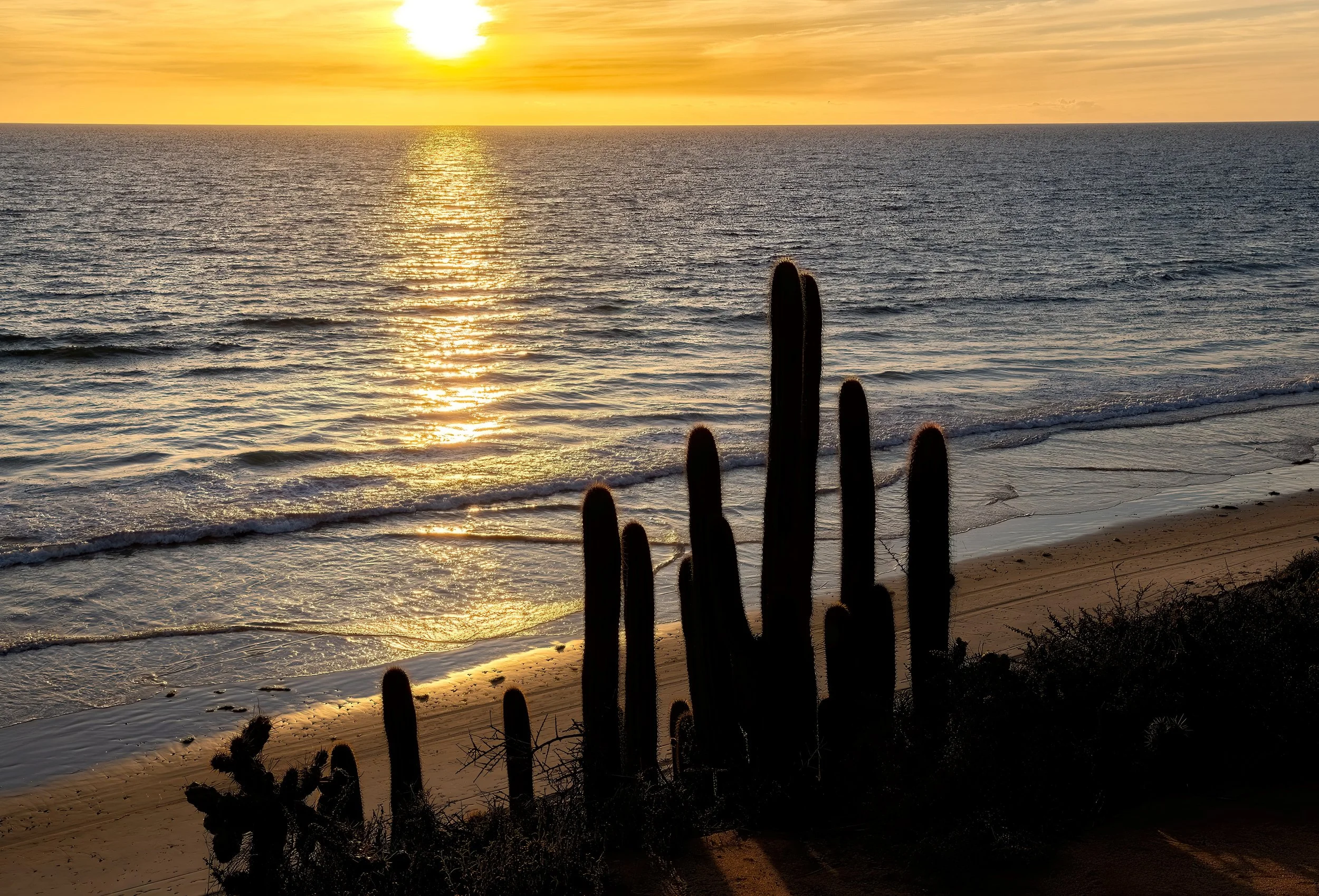 Carslbad coast silhouette.jpg