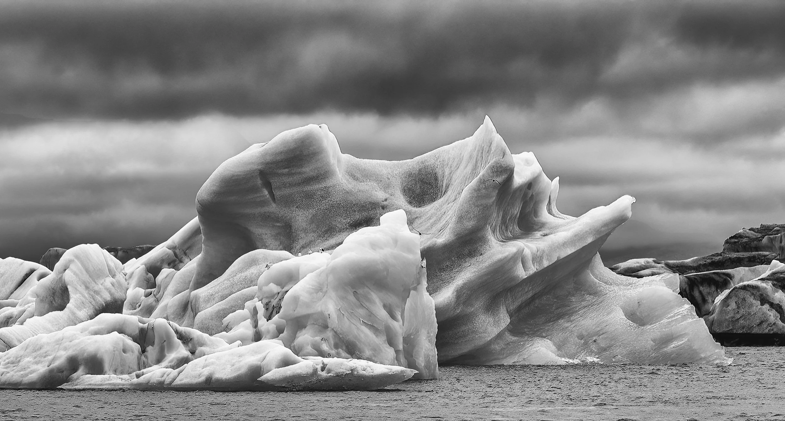 iceberg b&w.jpg