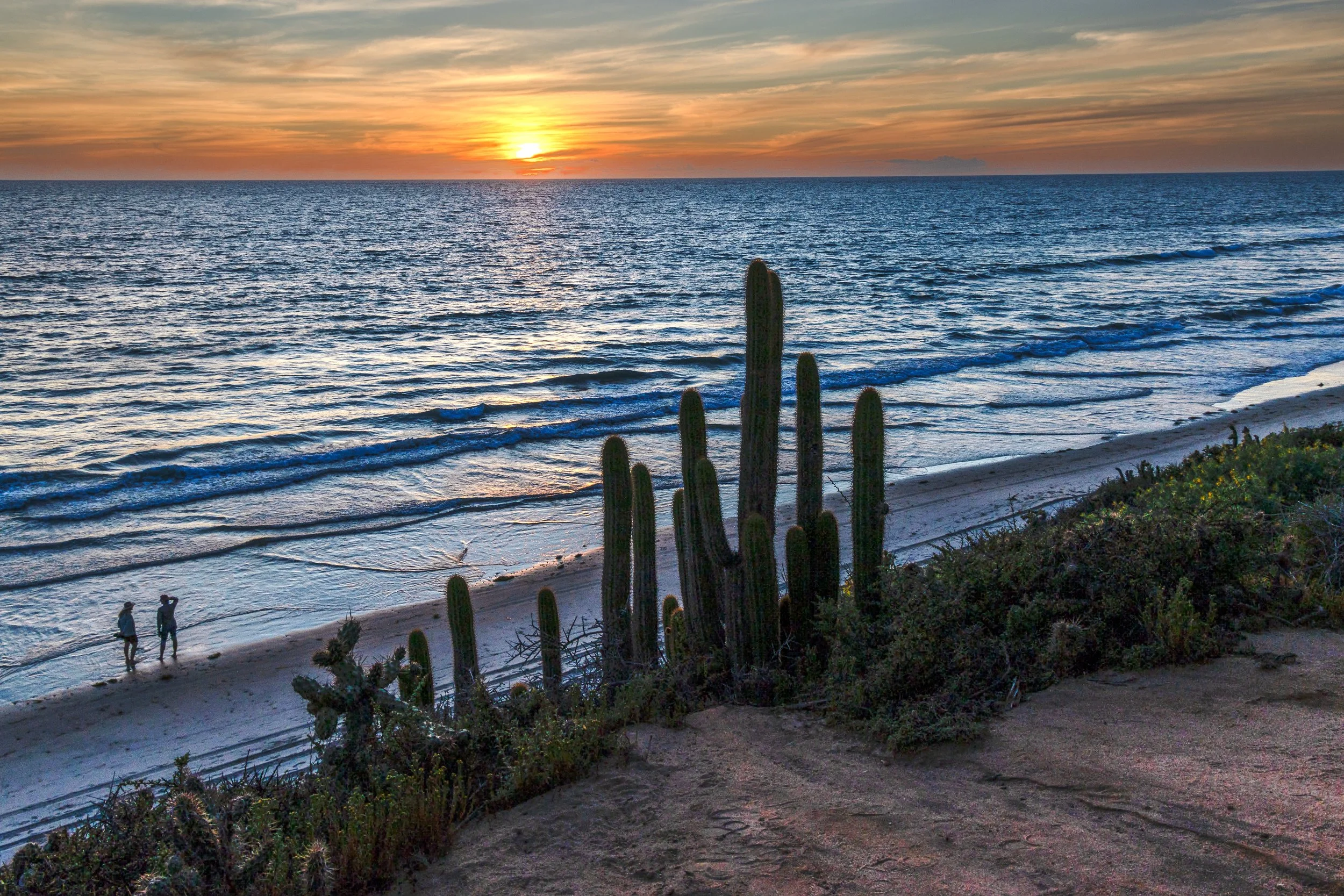 carlsbad coast 12.jpg