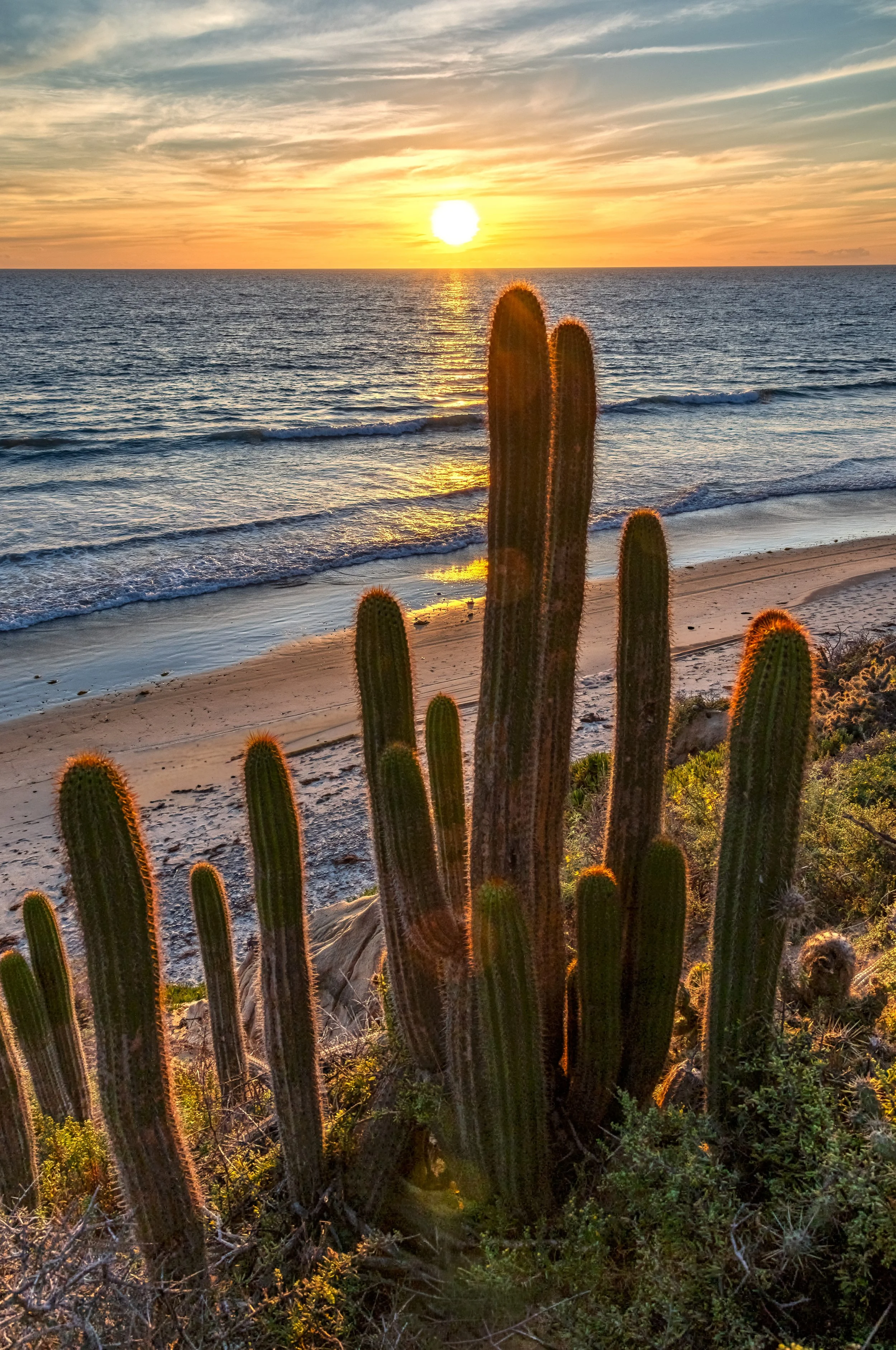 carlsbad coast 10.jpg