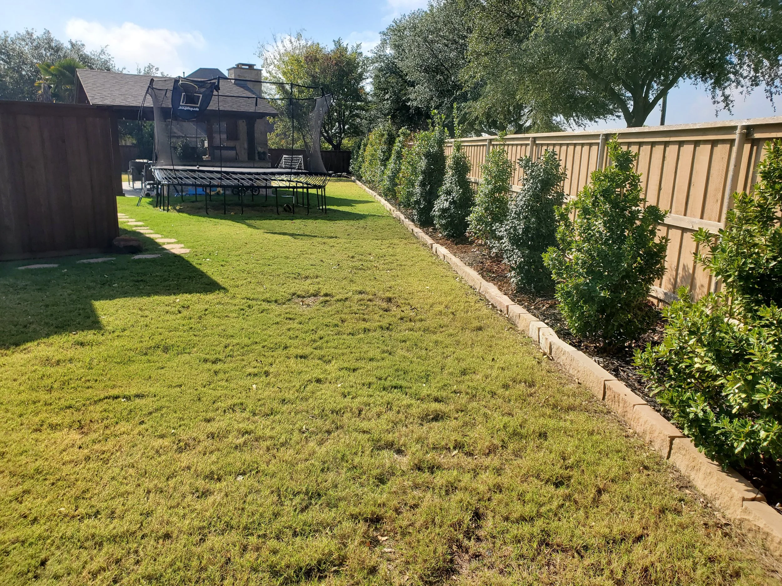 A portfolio picture of a different angle of a bunch of trees installed by Designs of Eden, LLC
