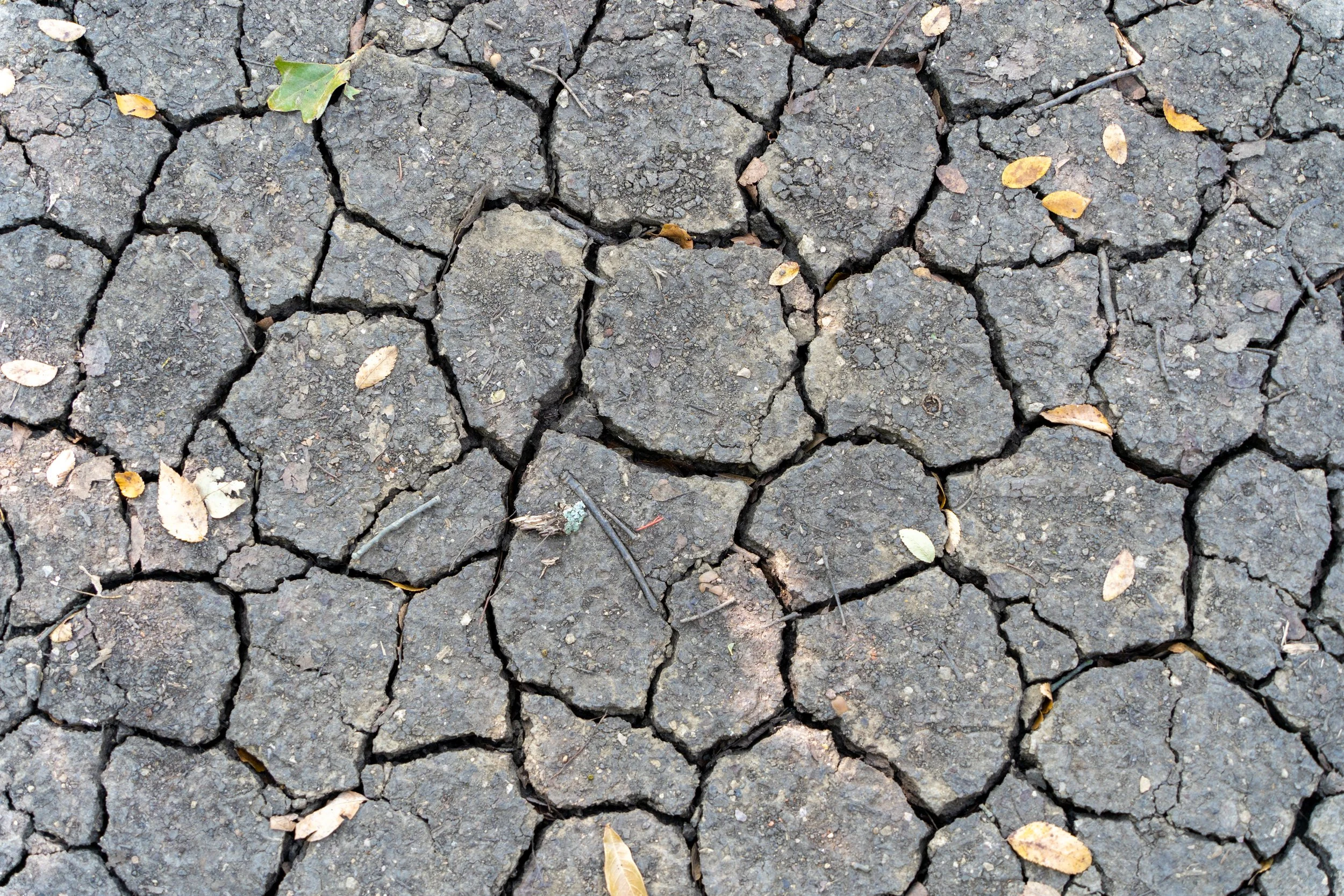Clay soil in Texas that has been completely cracked over due to extreme heat and drought conditions in the Summer time.