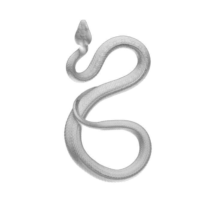 COBRA.