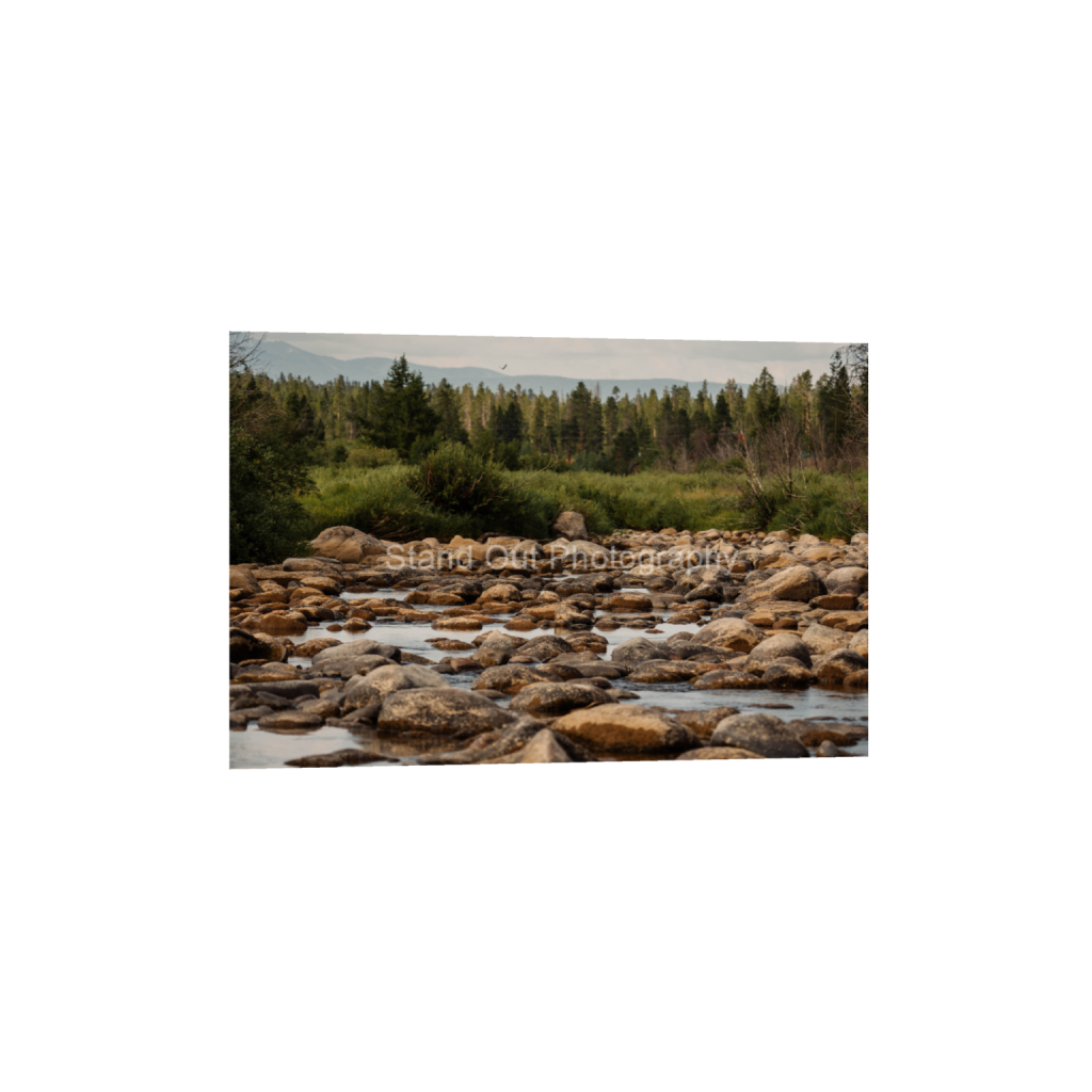 ptq_1_3_0_0_6000_4000_0_false_ffffff_0_0_d0f0775bb8e447ce057bb1b921fad5aa.png