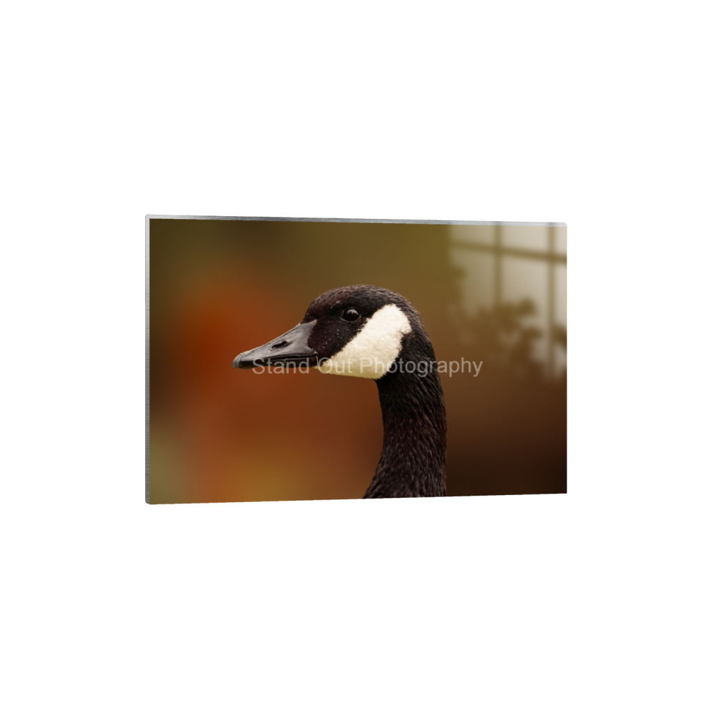 ptq_13_3_15_0_4992_3328_0_false_ffffff_0_0_d0f0775bb8e447ce057bb1b921fad5aa.png